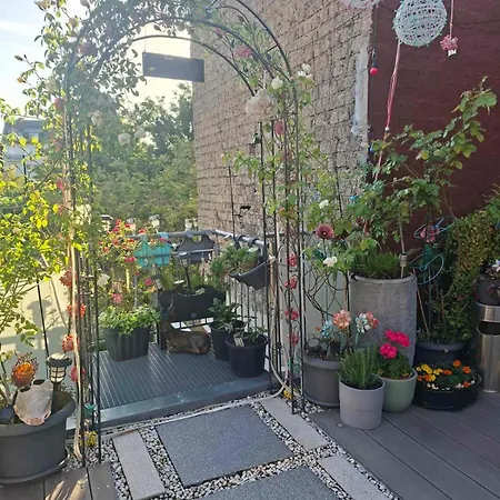 Citywohnung Mit Schlafgalerie Bis Zu 6 Gaeste Direkt Im Stadtzentrum Appartement *